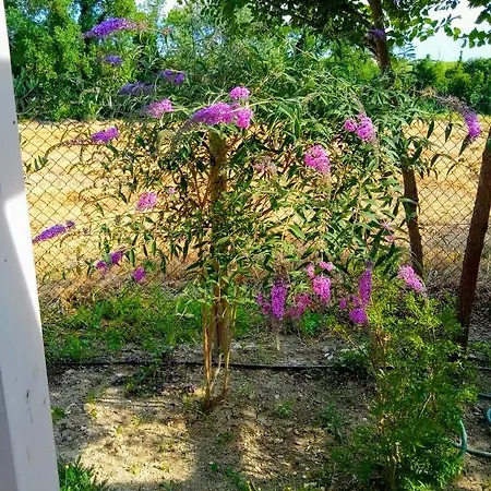 La Casa Di Tara Armonia E Natura 3* レカナーティ