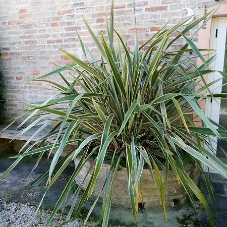 La Casa Di Tara Armonia E Natura ベッド・アンド・ブレックファスト