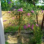 La Casa Di Tara Armonia E Natura 3* רקאנטי
