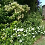 La Casa Di Tara Armonia E Natura 3* Recanati