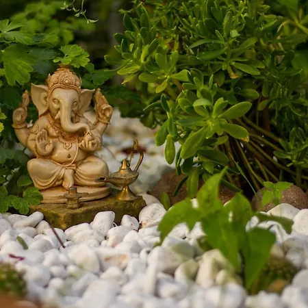 Bed & Breakfast La Casa Di Tara Armonia E Natura Recanati