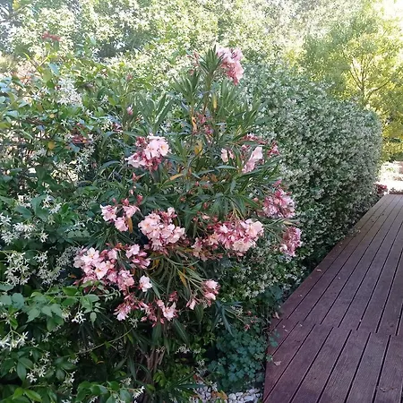 La Casa Di Tara Armonia E Natura Bed and Breakfast Ρεκανάτι