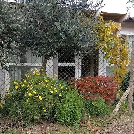 Bed & Breakfast La Casa Di Tara Armonia E Natura *