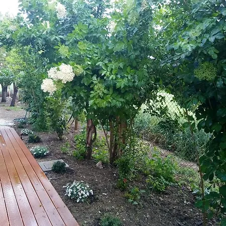 La Casa Di Tara Armonia E Natura Bed and Breakfast Ρεκανάτι