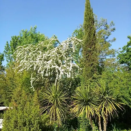 Bed and Breakfast La Casa Di Tara Armonia E Natura Ρεκανάτι