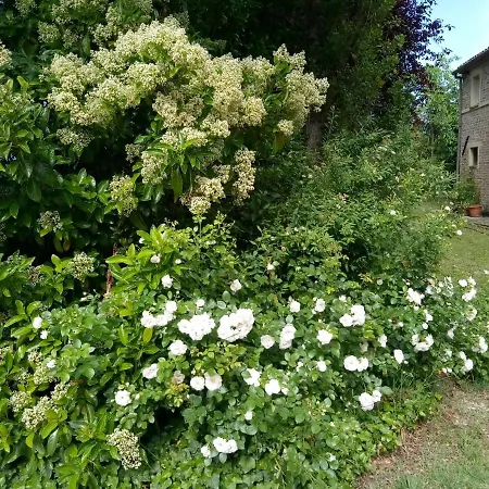 La Casa Di Tara Armonia E Natura 3* Ρεκανάτι