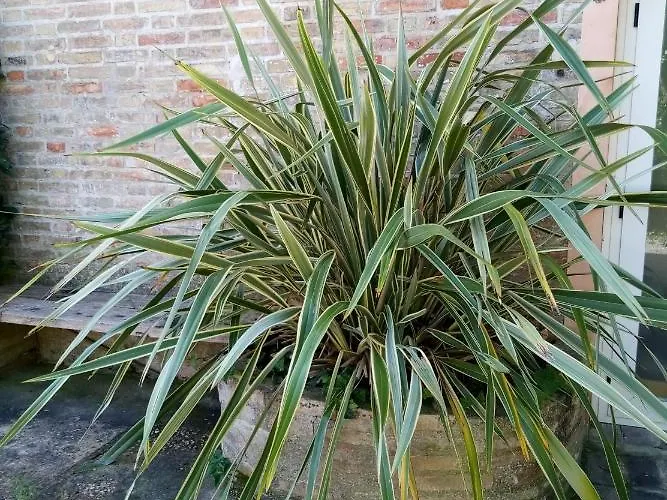 La Casa Di Tara Armonia E Natura Panzió