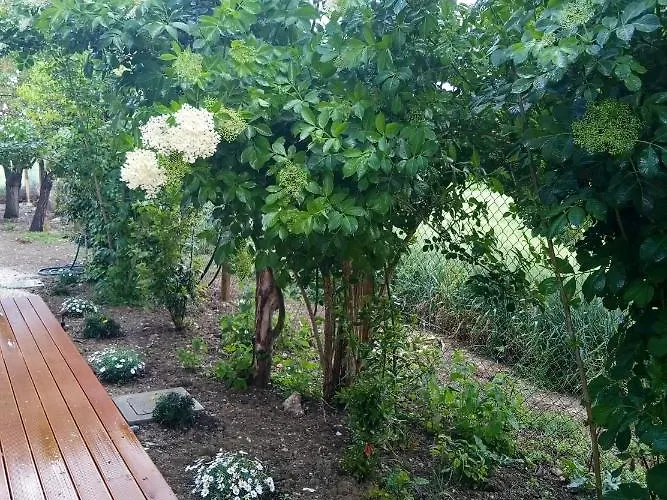 La Casa Di Tara Armonia E Natura Panzió Recanati
